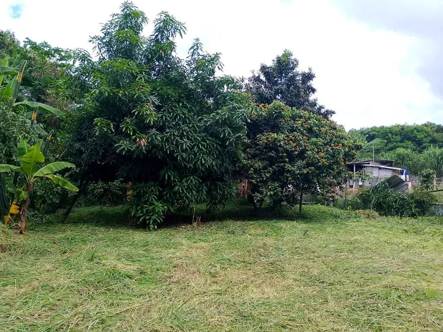 Imagem 14: Vendo Casa 3 Quartos em Terreno de 1081 M2
