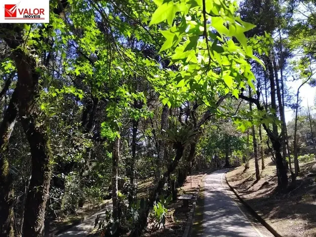 Imagem: Excelente Kitnet - Localização Privilegiada