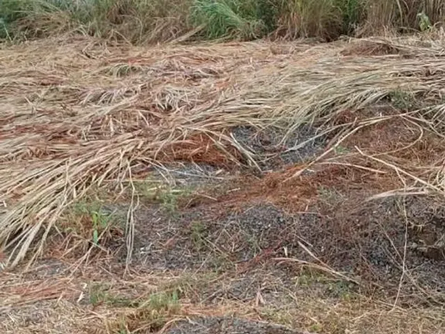 Imagem: Vende-Se Terreno no João de Barro Motivo
