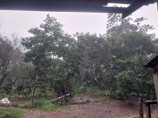 Imagem 2: Chácara em Mucajaí