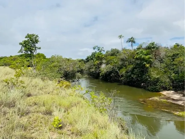 Imagem: Vendo Lote de Chácara no Murupu - Leia