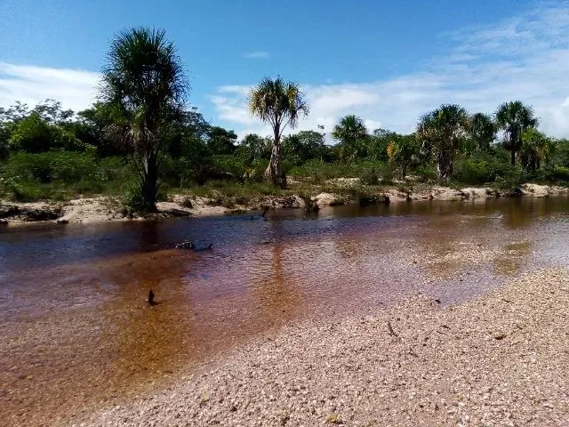 Imagem: Vendo Terreno no Tepequém