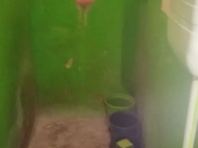 Imagem 8: Casa Casa com 2 dormitórios