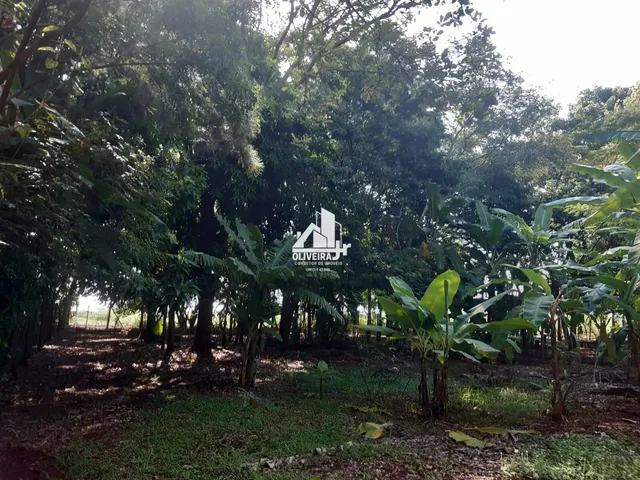 Imagem 8: CHACARÁ RECANTO PIAPARA