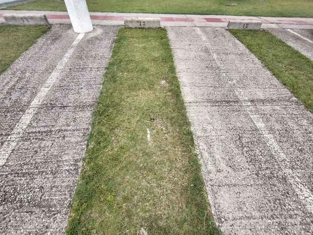 Imagem 15: Apartamento Padrão em Bagé