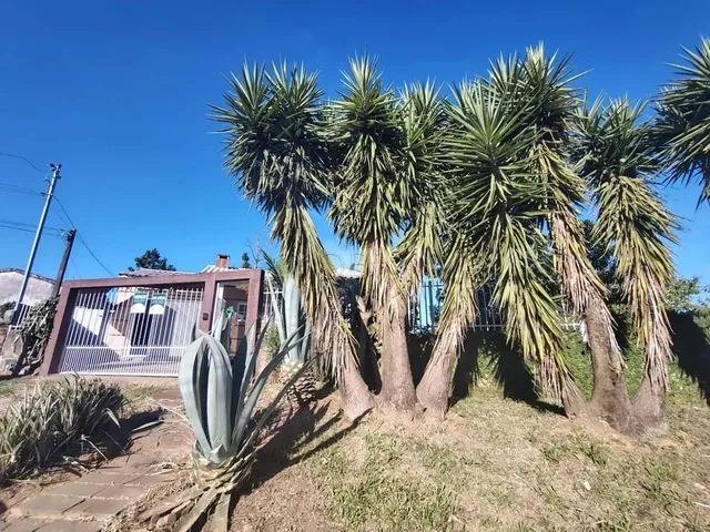 Imagem 7: Excelente Imóvel Super Arborizado