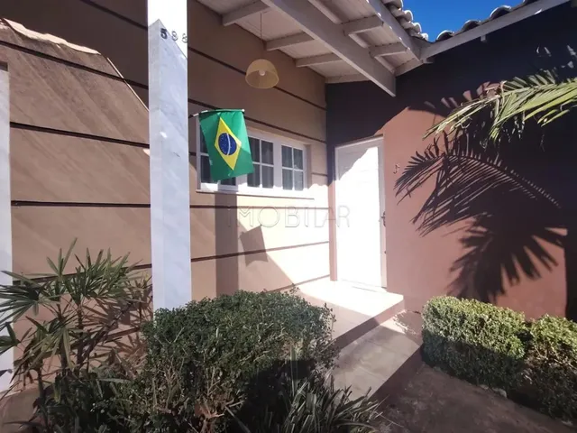 Imagem 13: Excelente Imóvel Super Arborizado