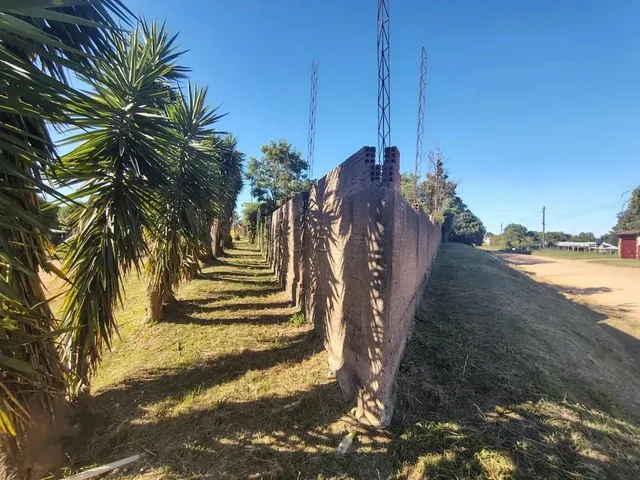 Imagem 4: Excelente Imóvel Super Arborizado