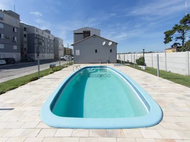 Imagem 9: Apartamento 2 Quartos para Aluguel Pelotas