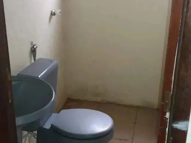 Imagem 3: Casa 1 Quarto para Aluguel Capao do Leao