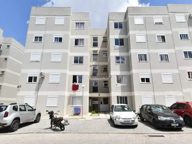 Imagem 5: Apartamento 2 Quartos para Aluguel Pelotas