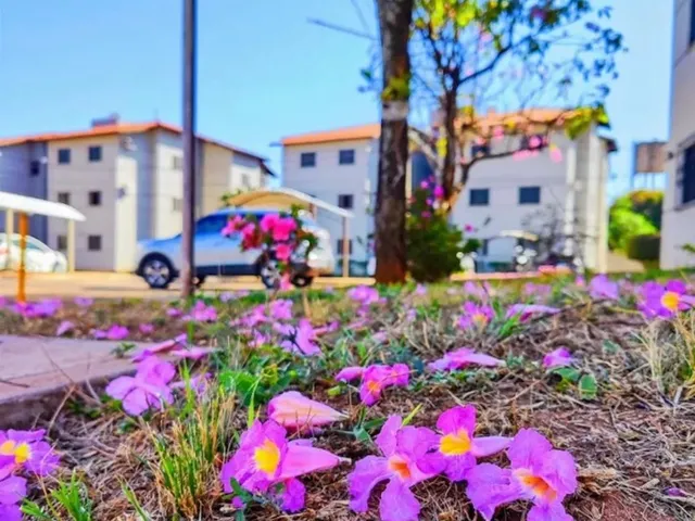 Imagem 15: Apartamento Tiradentes 3 Quartos
