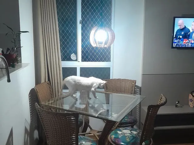 Imagem 13: Alugo Apt com Ar Condicionado/Cozinha Planejada