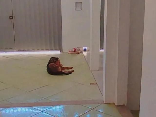 Imagem: Locação Casa em Novo Horizonte Serra
