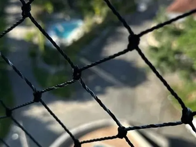 Imagem: Aluguel Apartamento