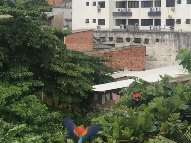 Imagem: Apartamento no Centro