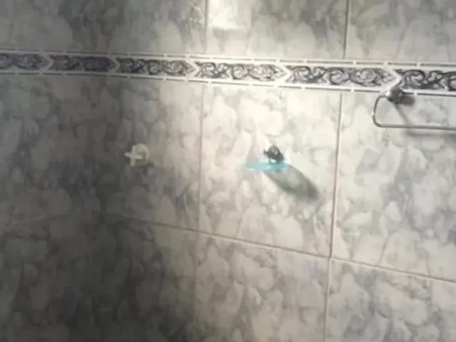 Imagem 4: Apartamento no Centro