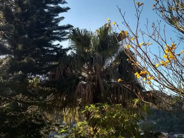 Imagem 2: Aluga-Se Suíte para Moças