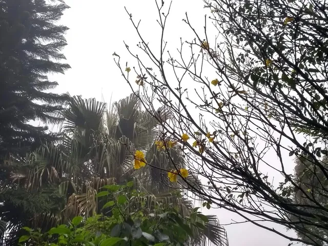 Imagem 8: Aluga-Se Suíte para Moças