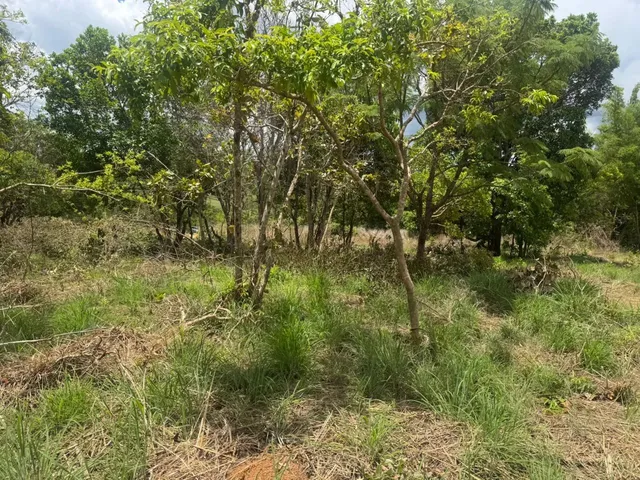Imagem 3: Chácaras de 1.200Mt Há 40Km de Anapolis Parceladas!
