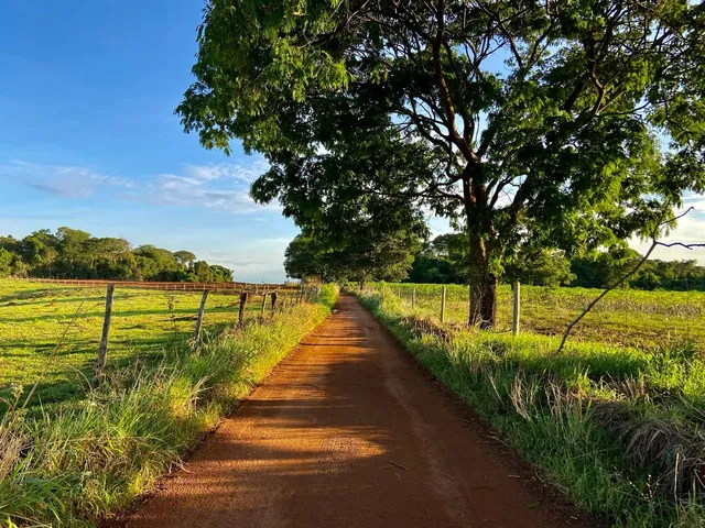 Imagem 1: Chácara de 6.000 M2 - Plana, Energia, Só 2 Km de Chão