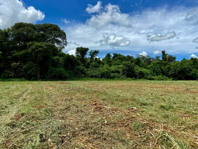 Imagem 2: Chácara de 6.000 M2 - Plana, Energia, Só 2 Km de Chão