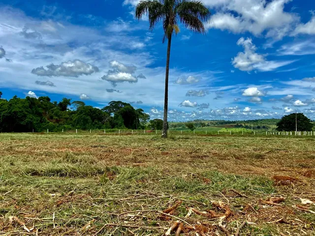 Imagem 3: Chácara de 6.000 M2 - Plana, Energia, Só 2 Km de Chão