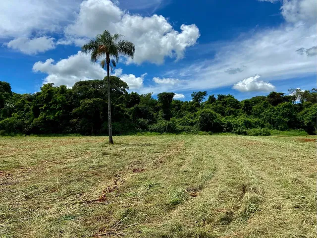 Imagem 4: Chácara de 6.000 M2 - Plana, Energia, Só 2 Km de Chão
