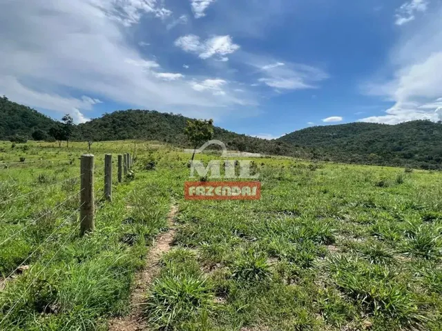Imagem: A fazenda possui 2 Dormitórios, 1 Suíte, 500m² de Área
