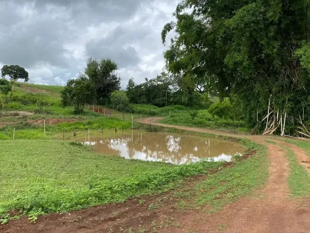 Imagem 2: Chácara com Represa em Maripotaba Excelente Oportunidade!