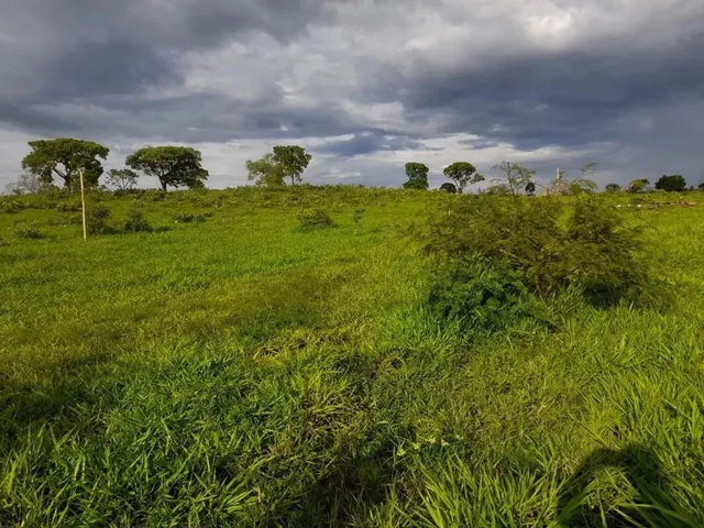Imagem 3: Chácara com Represa em Maripotaba Excelente Oportunidade!