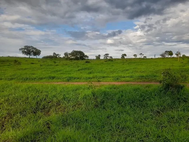 Imagem 4: Chácara com Represa em Maripotaba Excelente Oportunidade!