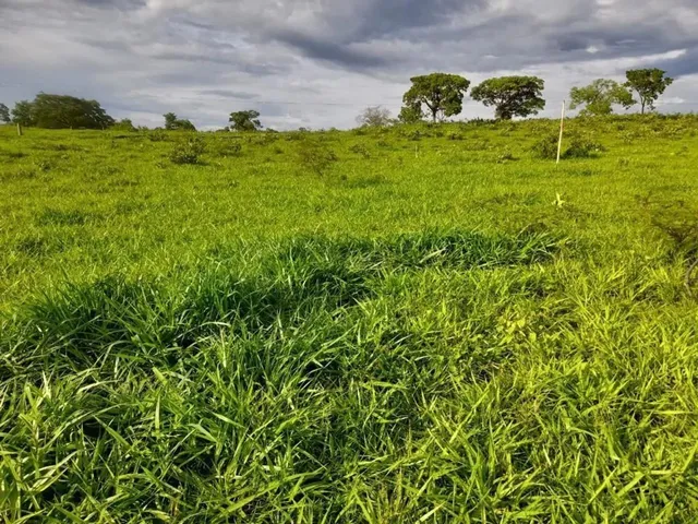 Imagem 5: Chácara com Represa em Maripotaba Excelente Oportunidade!