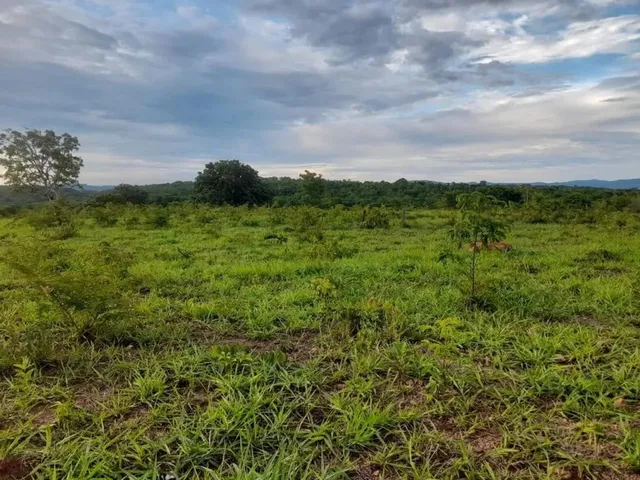 Imagem 6: Chácara com Represa em Maripotaba Excelente Oportunidade!
