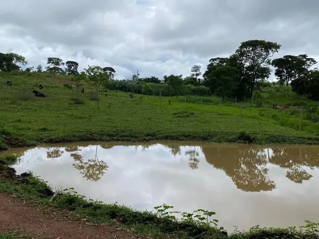 Imagem 8: Chácara com Represa em Maripotaba Excelente Oportunidade!