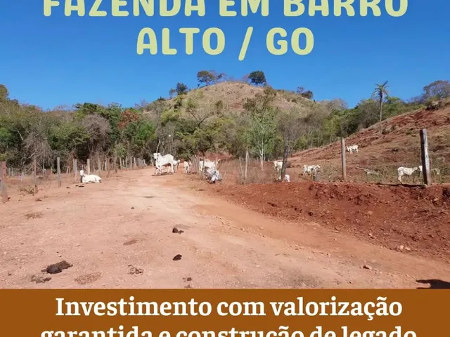 Imagem: Fazenda em Barro Alto (Anúncio Direto do