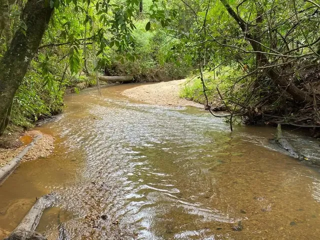 Imagem: Chácaras de 20Mil Mt com Córrego em Cromínia!