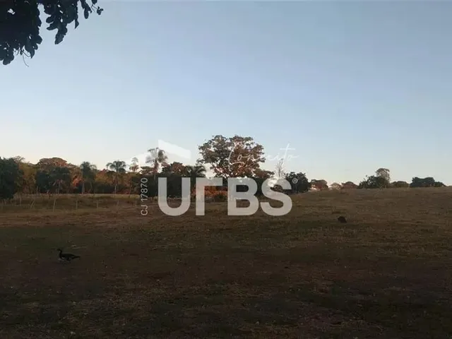Imagem 11: Fazenda no Município de Varjão