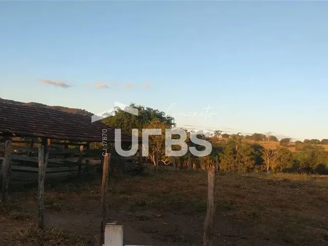Imagem 6: Fazenda no Município de Varjão