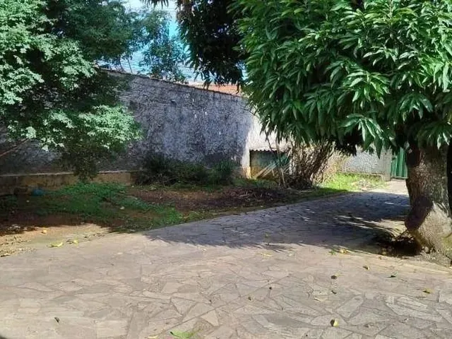 Imagem 3: .