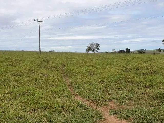Imagem: Vendo 4 Alqueires Rural
