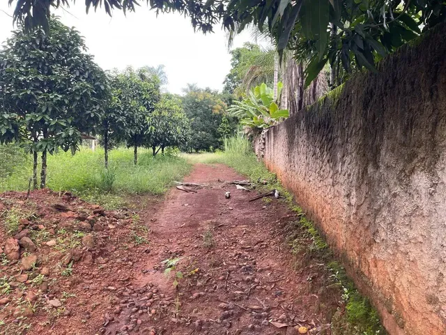Imagem 9: Chácara À Venda Dentro da Cidade de Anápolis 5000M² Vale das Brisas