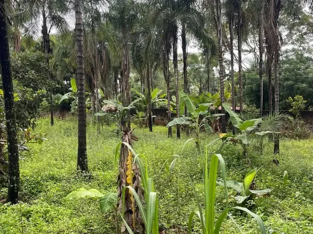 Imagem 8: Chácara À Venda Dentro da Cidade de Anápolis 5000M² Vale das Brisas