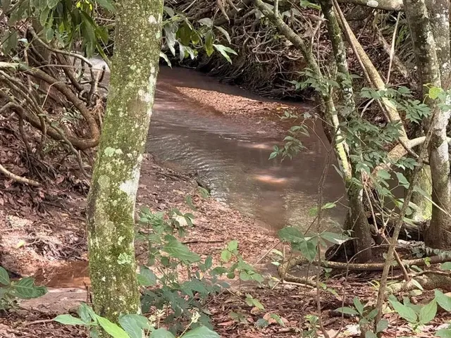 Imagem: Escolha Sua Terra na Beira do Rio Dourados