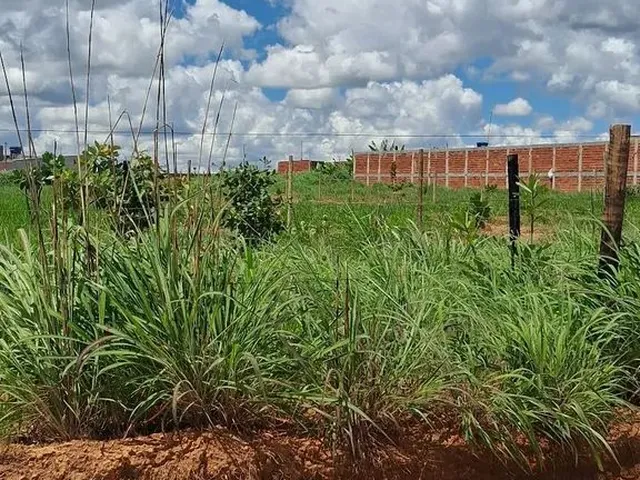 Imagem 3: Lotes À Venda Oportunidade