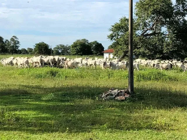 Imagem: A fazenda possui 139m² de Área e está localizado em