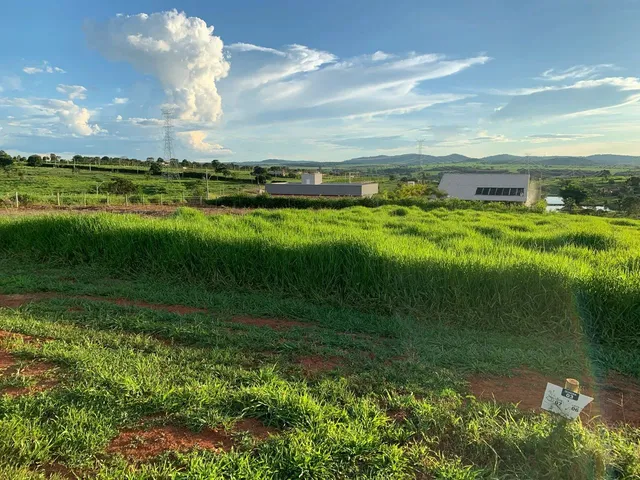 Imagem 8: Oportunidade - Terreno 1000M2 no Terra santa Monte Hermon