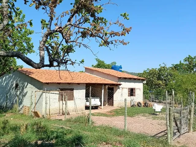 Imagem: Sítio em Faina-Go