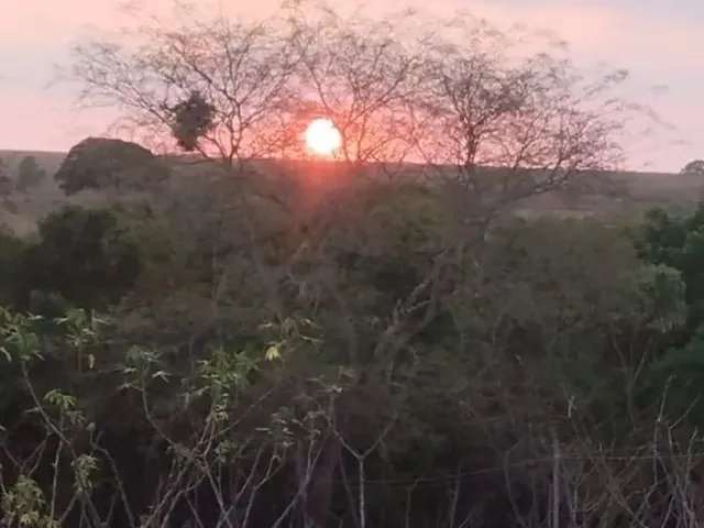 Imagem 13: Vende-Se Chácara de 9.800Mts em Vianopolis