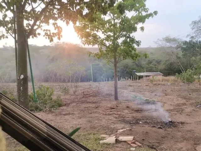 Imagem 7: Vende-Se Chácara de 9.800Mts em Vianopolis